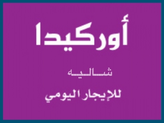 شاليه اوركيد حفر الباطن - 